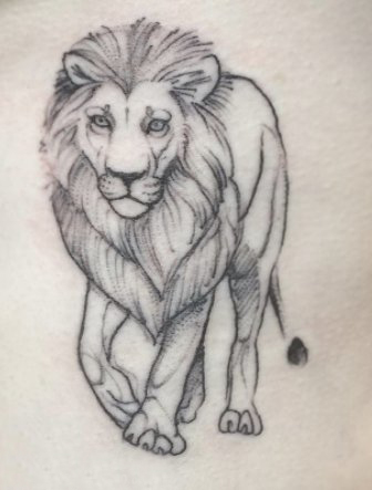 点击大图看下一张：霸气的黑灰点刺简单抽象线条小动物狮子纹身图片