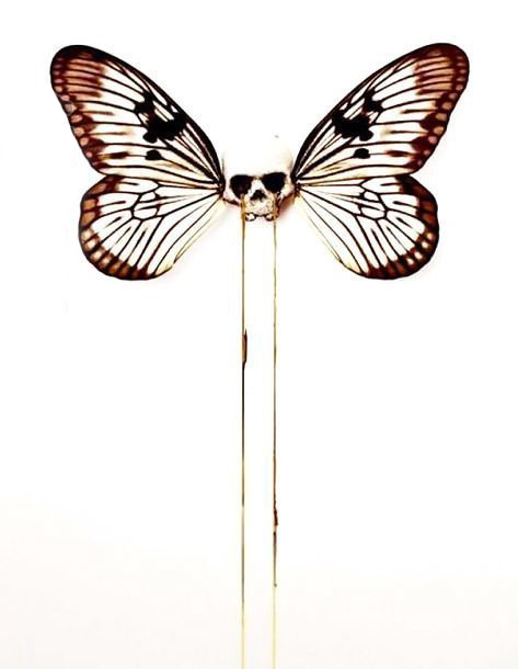 点击大图看下一张：彩绘水彩素描创意文艺精美蝴蝶骷髅纹身手稿