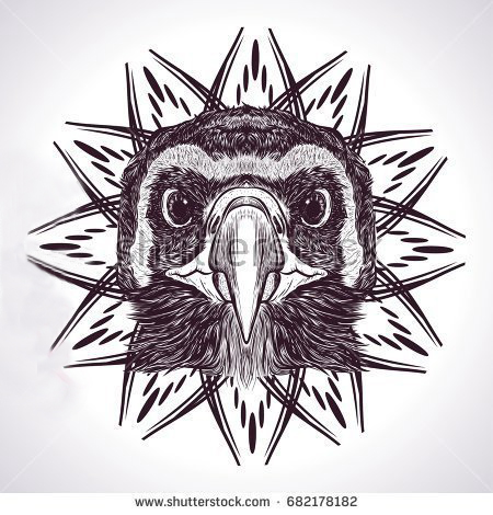 点击大图看下一张：黑灰素描创意文艺有趣动物猫头鹰纹身手稿