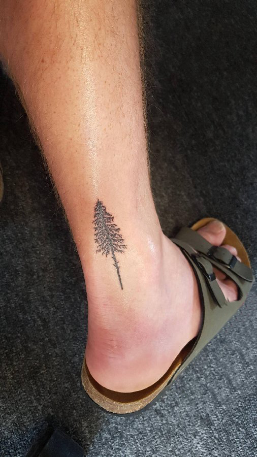 点击大图看下一张：男生小腿上黑色点刺简单线条植物松树纹身图片