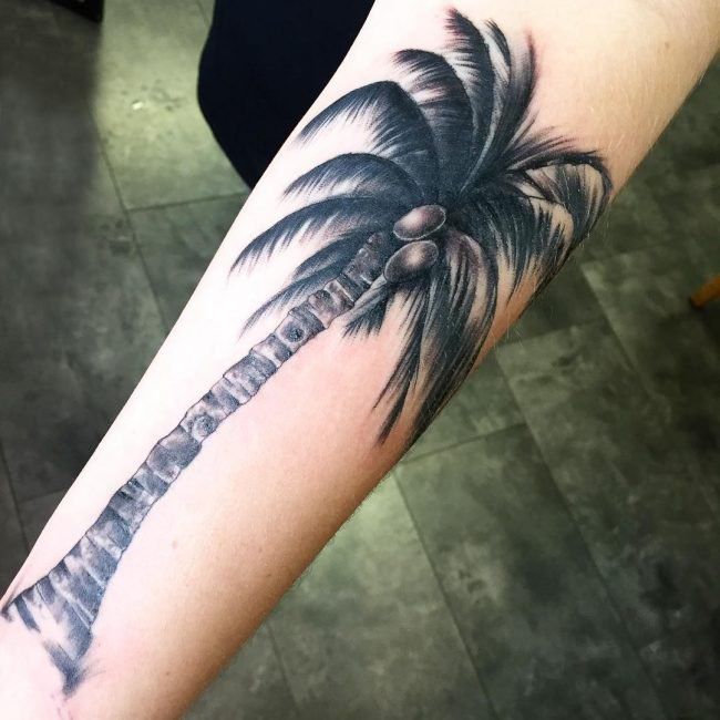 点击大图看下一张：多款创意独特的精美别致夏日气息椰子树纹身图案