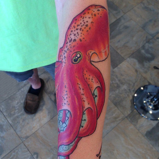 点击大图看下一张：多款创意有趣设计感十足的动物章鱼纹身图案