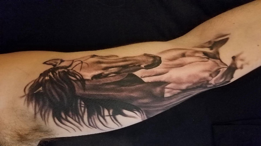 点击大图看下一张：男生手臂上黑灰点刺简单线条小动物马纹身图片