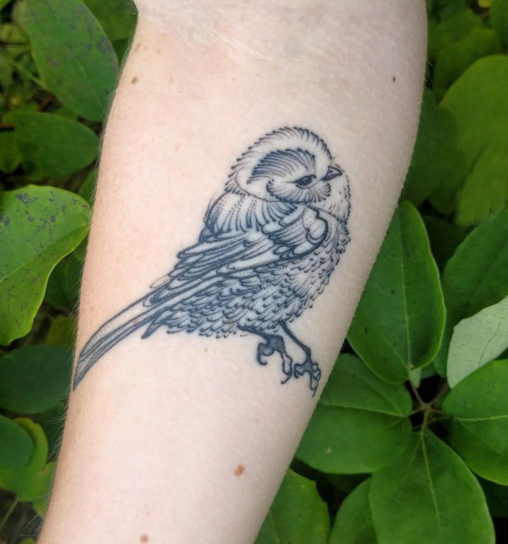 点击大图看下一张：女生手臂上黑色点刺简单线条小动物鸟纹身图片
