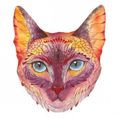 点击大图看下一张：彩绘水彩素描创意俏皮可爱猫咪纹身手稿