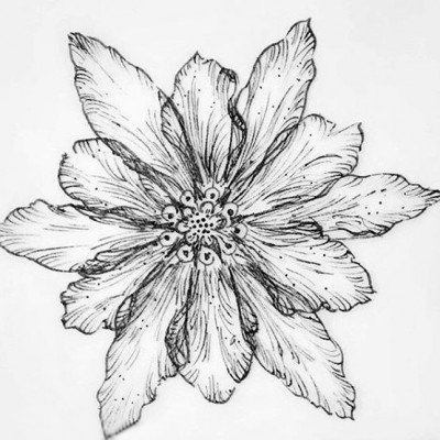 点击大图看下一张：黑灰素描文艺精致唯美花朵纹身手稿