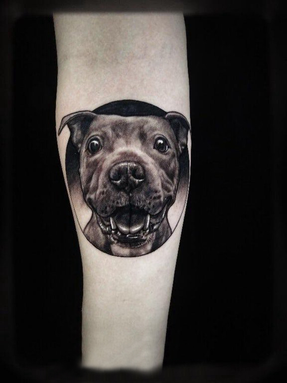 点击大图看下一张：女生手臂上黑色点刺几何简单线条小动物小狗纹身图片