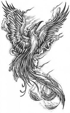点击大图看下一张：黑灰素描创意霸气展翅凤凰纹身手稿
