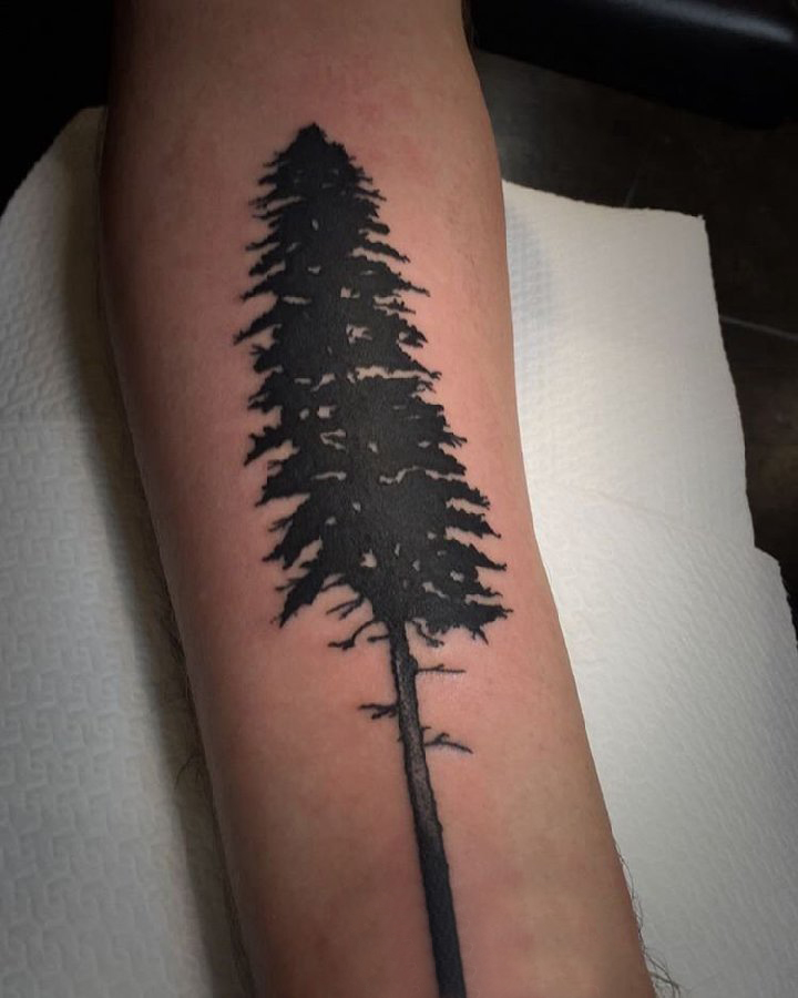 点击大图看下一张：男生手臂上黑色点刺简单抽象线条植物松树纹身图片