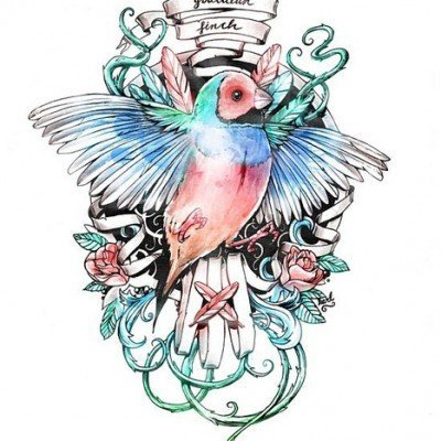 点击大图看下一张：彩绘水彩素描创意文艺唯美小鸟纹身手稿