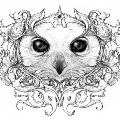 点击大图看下一张：黑灰素描创意文艺精致猫头鹰纹身手稿