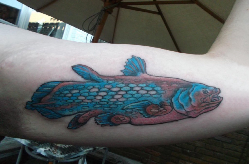 点击大图看下一张：男生手臂上彩绘几何简单线条小动物鱼纹身图片