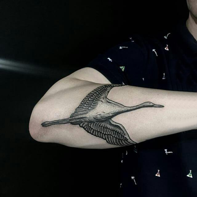 点击大图看下一张：男生手臂上黑灰点刺简单线条小动物白鹤纹身图片