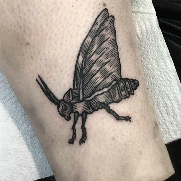 点击大图看下一张：男生小腿上黑灰素描点刺技巧创意昆虫纹身图片