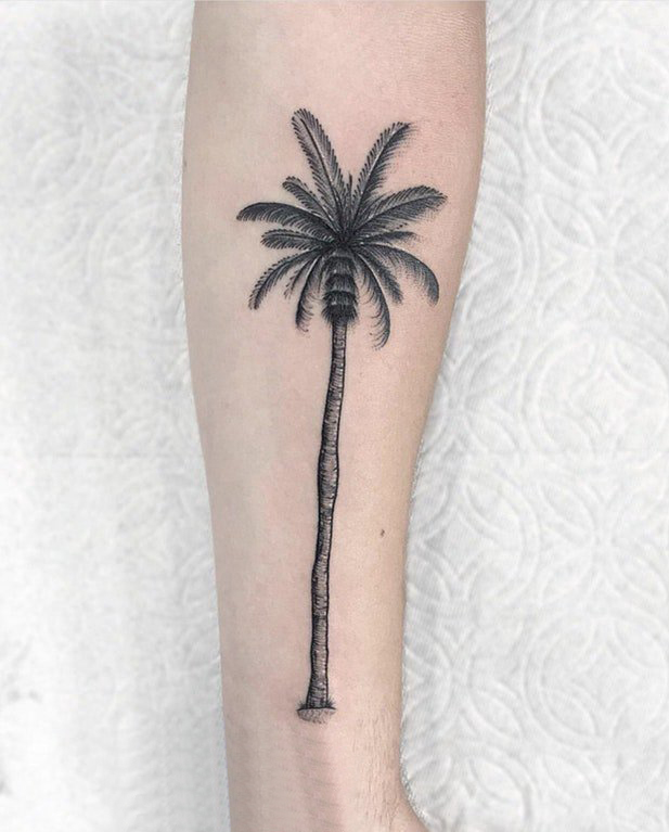 点击大图看下一张：女生小腿上黑色点刺简单抽象线条植物椰树纹身图片