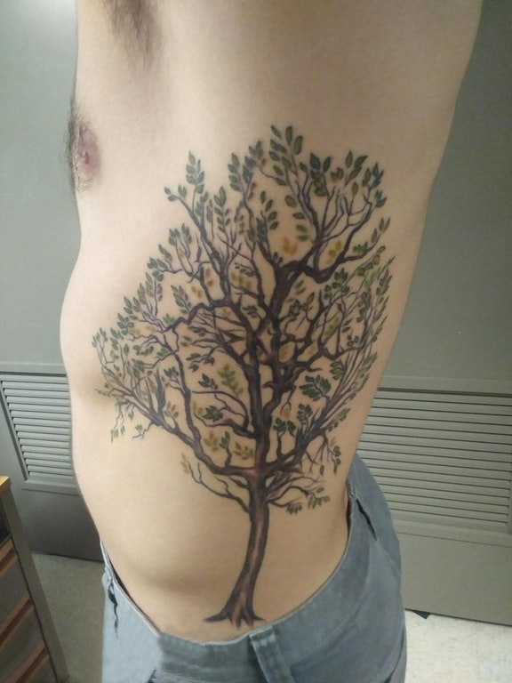 点击大图看下一张：男生侧腰上彩绘渐变简单线条植物大树纹身图片
