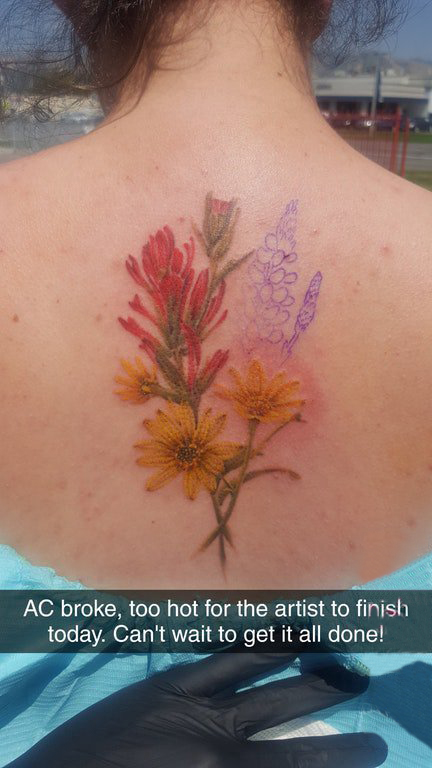 点击大图看下一张：女生后背上彩绘渐变简单线条植物花束纹身图片