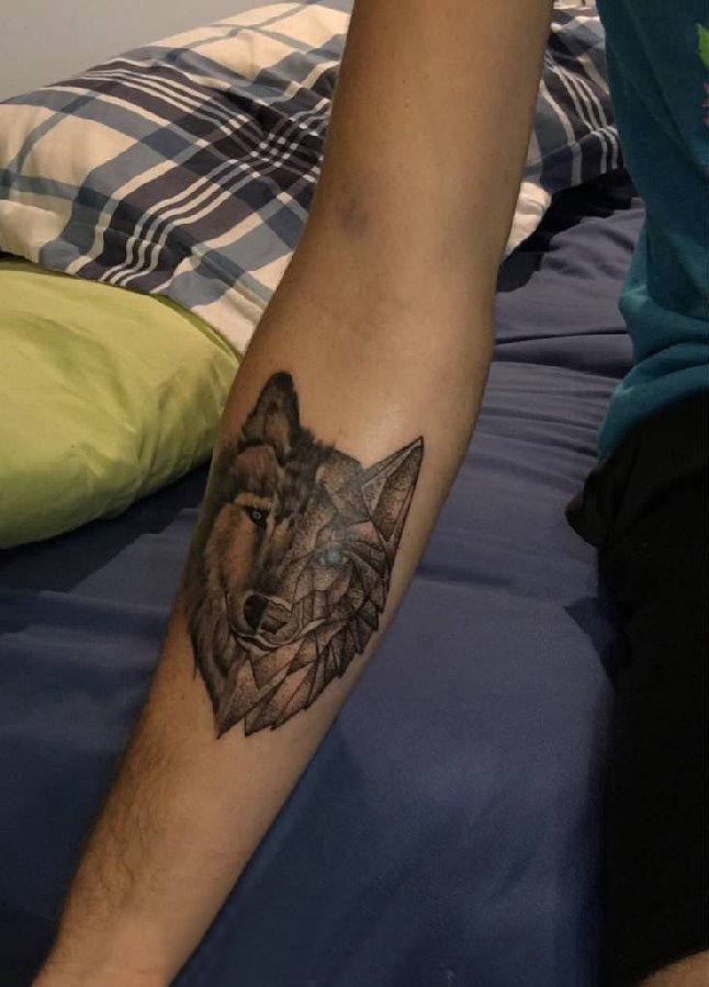 点击大图看下一张：女生手臂上黑灰素描点刺技巧创意霸气狼头纹身图片