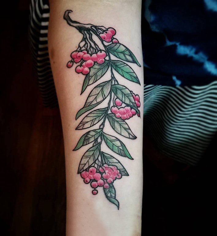 点击大图看下一张：女生手臂上彩绘渐变简单线条植物叶子和果实纹身图片