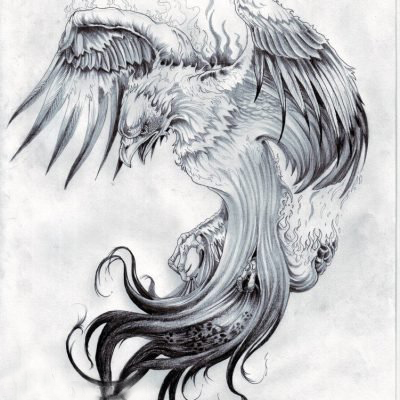点击大图看下一张：黑灰素描创意霸气展翅老鹰经典纹身手稿