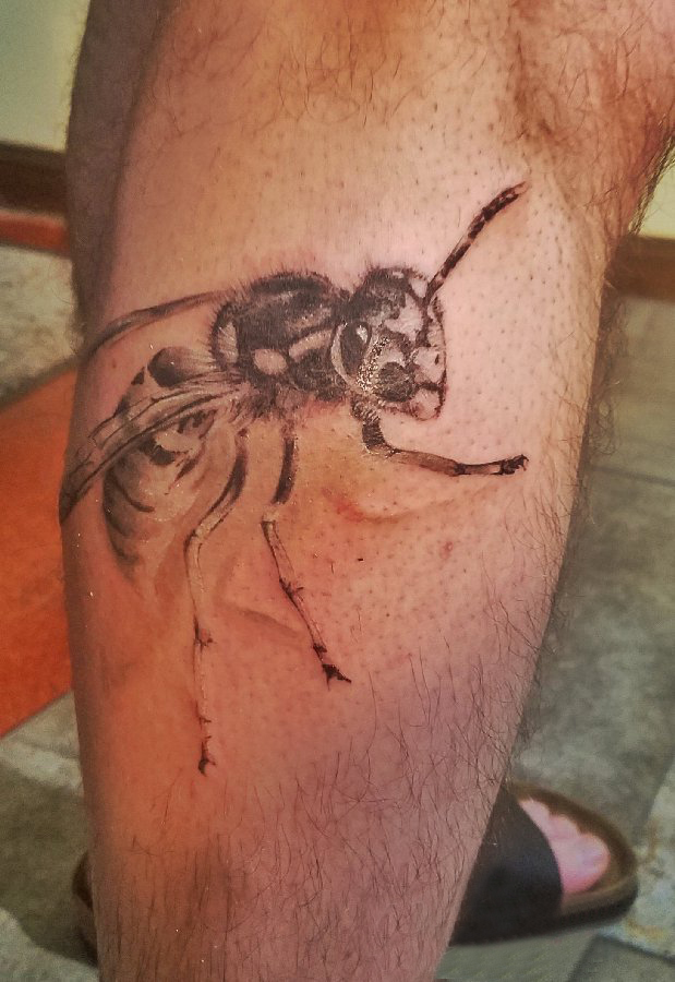 点击大图看下一张：男生小腿上彩绘渐变简单线条小动物蜜蜂纹身图片