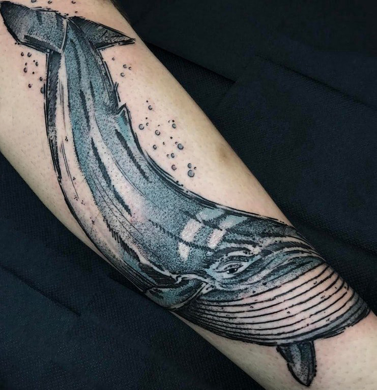 点击大图看下一张：男生手臂上彩绘渐变简单抽象线条小动物鲸鱼纹身图片