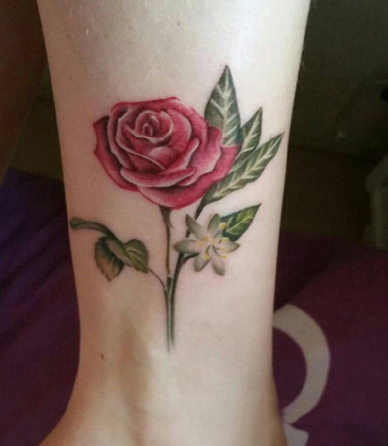 点击大图看下一张：女生脚踝上彩绘渐变简单线条唯美玫瑰纹身图片