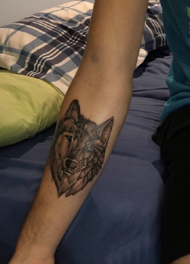 点击大图看下一张：女生手臂上黑灰素描点刺技巧创意狼头纹身图片