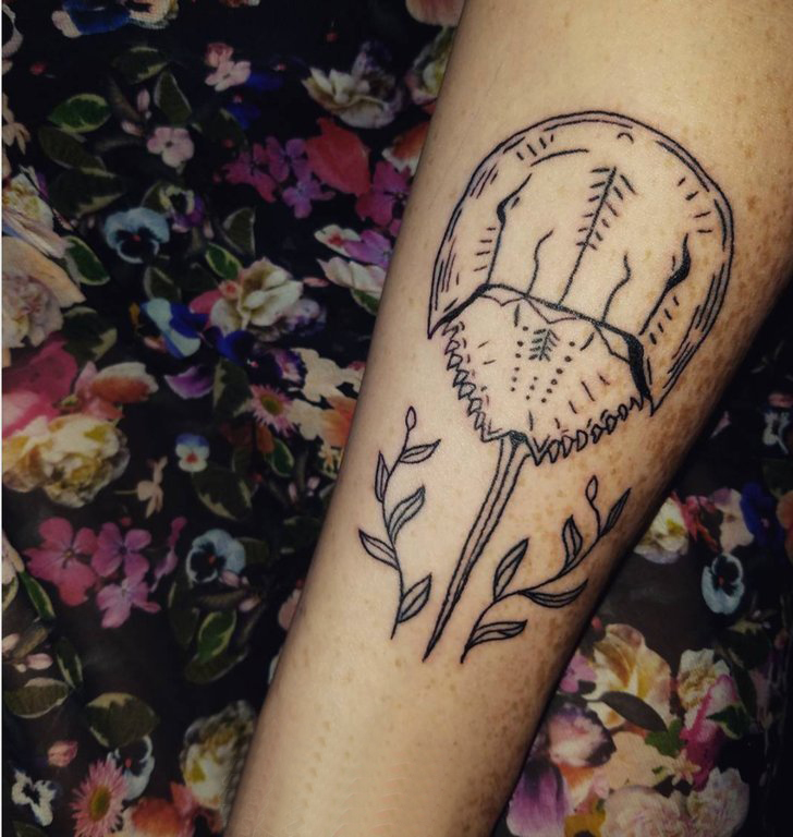 点击大图看下一张：女生手臂上黑色线条文艺唯美花朵纹身图片