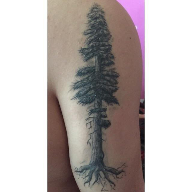 点击大图看下一张：男生大臂上黑色点刺简单线条植物大树纹身图片