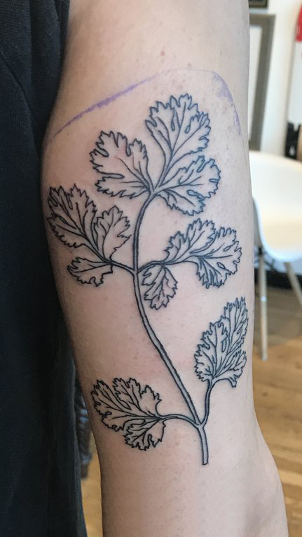 点击大图看下一张：男生手臂上黑色简单线条小清新植物叶子纹身图片