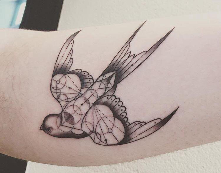 点击大图看下一张：女生手臂上黑色线条素描几何元素小鸟纹身图片