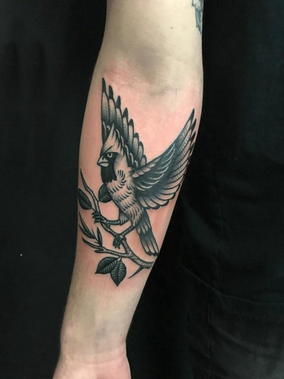 点击大图看下一张：男生手臂上黑灰素描点刺技巧文艺小鸟纹身图片