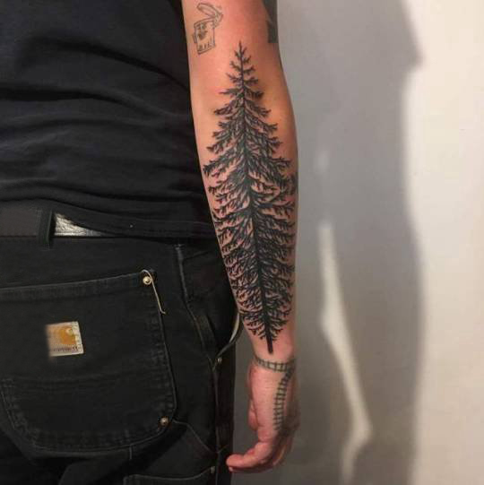 点击大图看下一张：男生手臂上黑色点刺简单线条植物茂密大树纹身图片