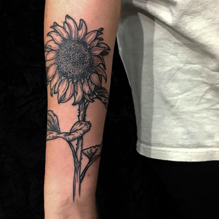 点击大图看下一张：女生手臂上黑色点刺抽象线条植物向日葵纹身图片