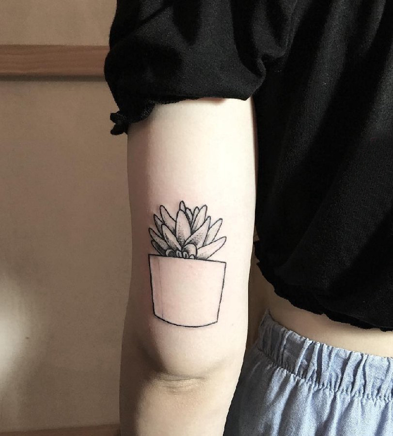 点击大图看下一张：女生手臂上黑灰点刺简单几何线条植物盆栽纹身图片