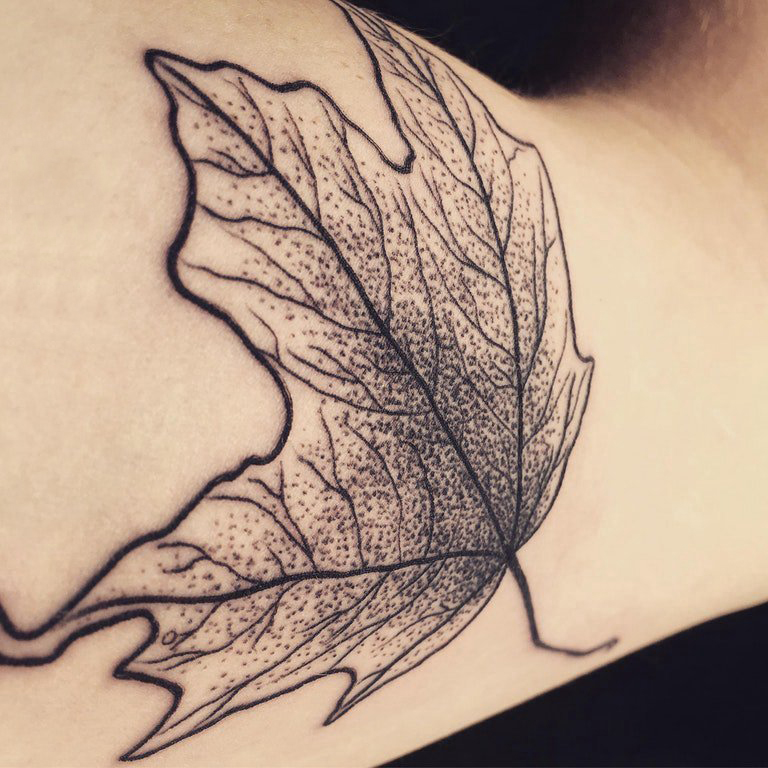 点击大图看下一张：男生手臂上黑色点刺简单抽象线条植物枫叶纹身图片