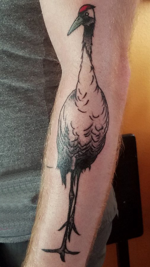 点击大图看下一张：男生手臂上黑色点刺简单抽象线条小动物白鹤纹身图片