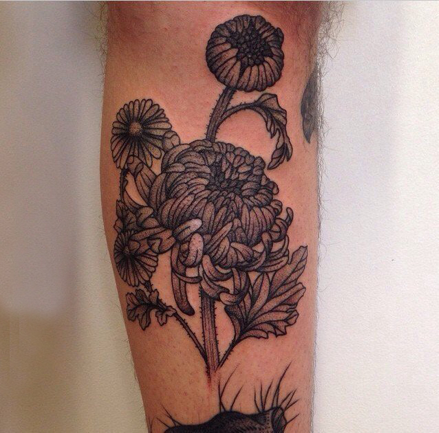 点击大图看下一张：黑灰菊花纹身男生小腿上黑色的菊花纹身图片