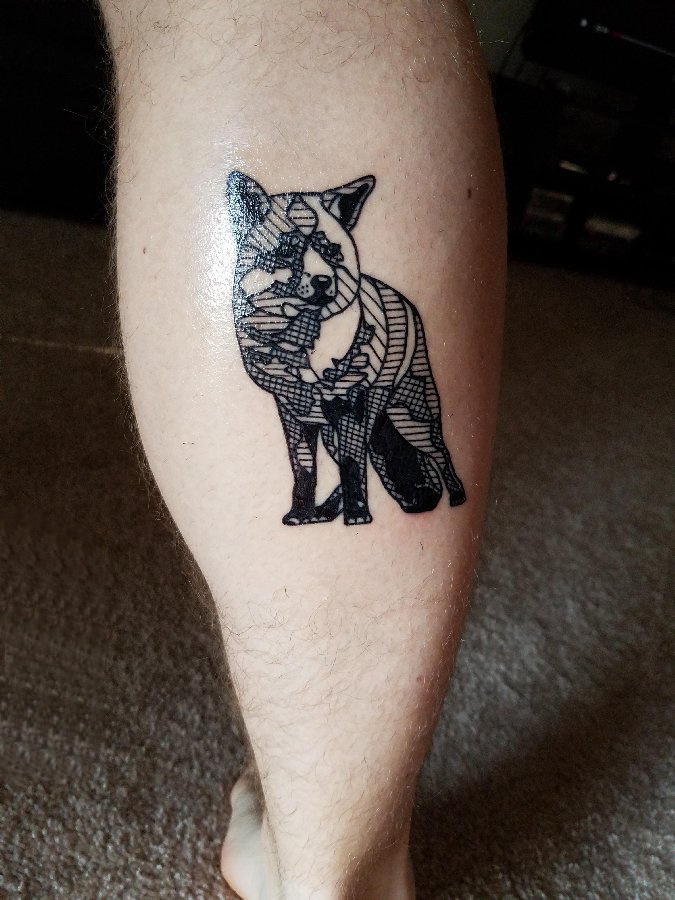 点击大图看下一张：狐狸纹身图片男生小腿上黑色的狐狸纹身图片