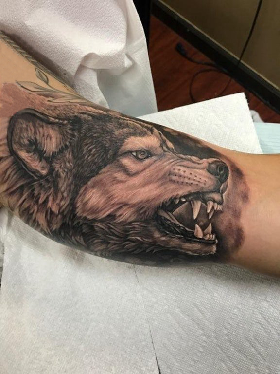 点击大图看下一张：滴血狼头纹身图片男生手臂上黑色的狼头纹身图片