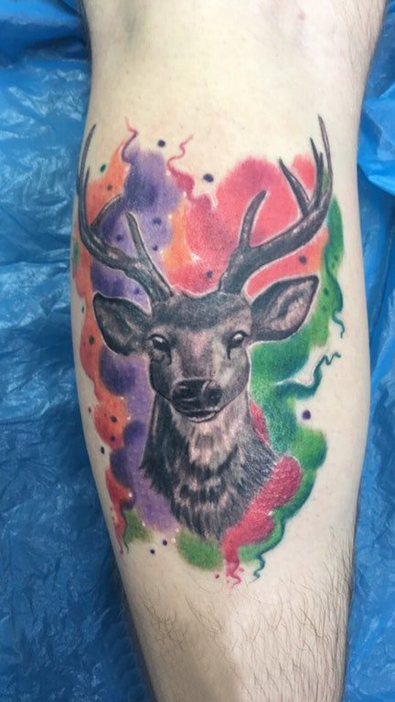 点击大图看下一张：鹿头纹身男生手臂上鹿头纹身图片