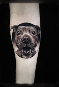 女生手臂上黑色点刺几何简单线条小动物小狗纹身图片
