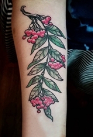 女生手臂上彩绘渐变简单线条植物叶子和果实纹身图片