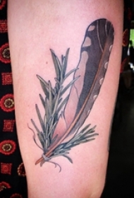 女生手臂上彩绘简单线条植物和羽毛纹身图片