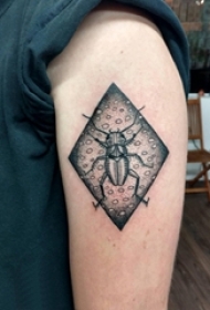 男生大臂上黑色点刺几何简单线条昆虫纹身图片