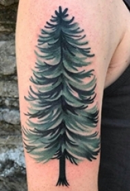 男生手臂上彩绘渐变简单抽象线条植物松树纹身图片