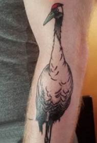 男生手臂上黑色点刺简单抽象线条小动物白鹤纹身图片