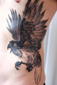 男生侧腰上黑色点刺简单线条写实小动物老鹰纹身图片
