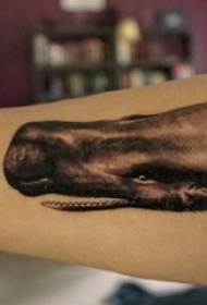 男生手臂上黑色点刺简单线条小动物鲸鱼纹身图片